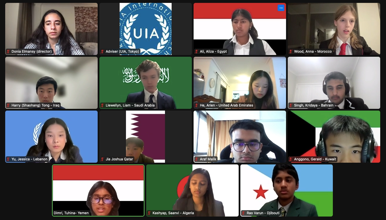 Online Model United Nations conference with diverse international delegates in virtual meeting rooms.