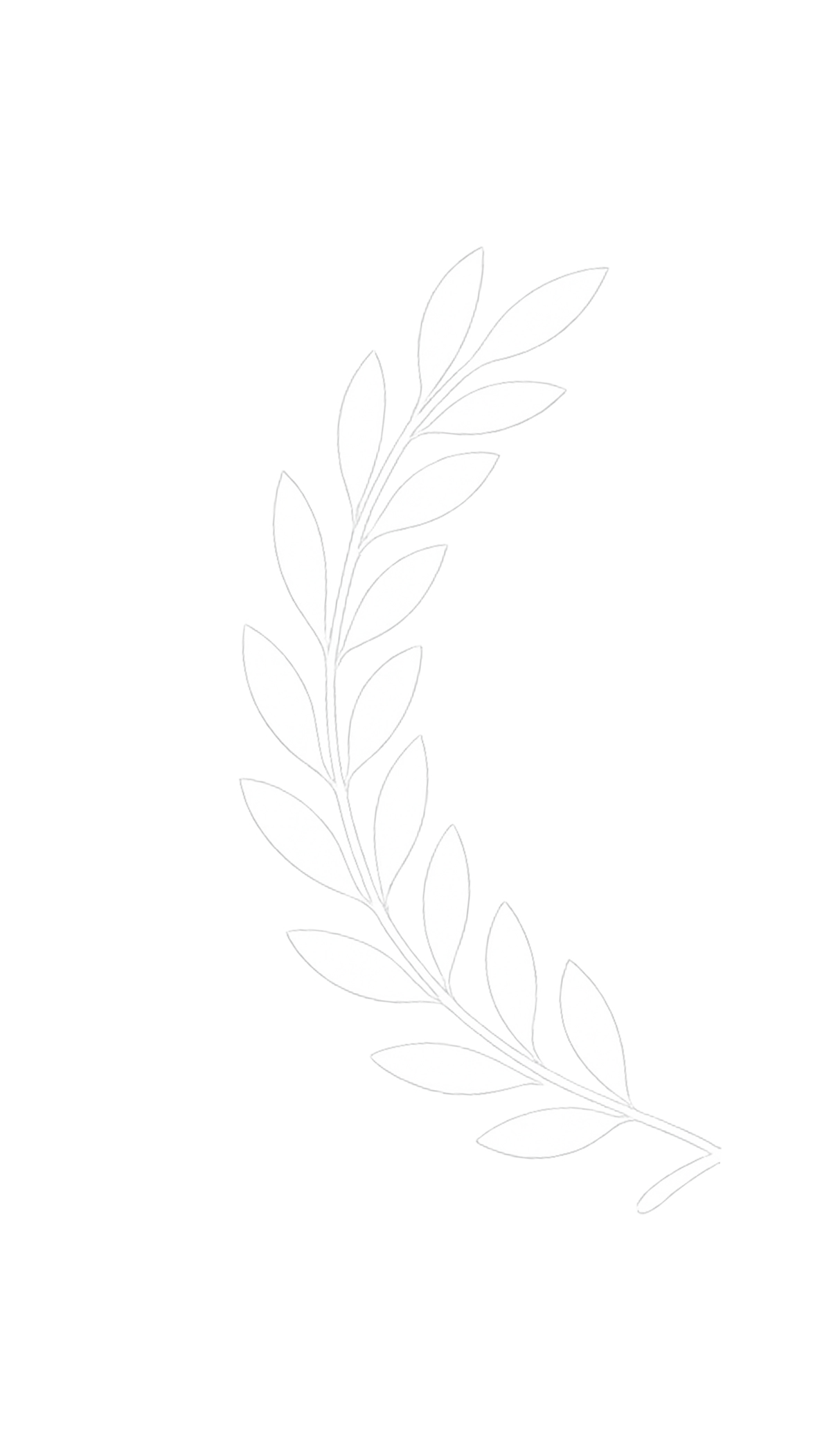 Elegant monochrome laurel branch illustration with leaves, perfect for design accents and nature themes.