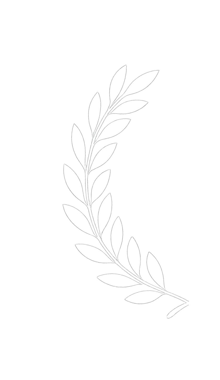Black and white illustration of a curved olive branch.