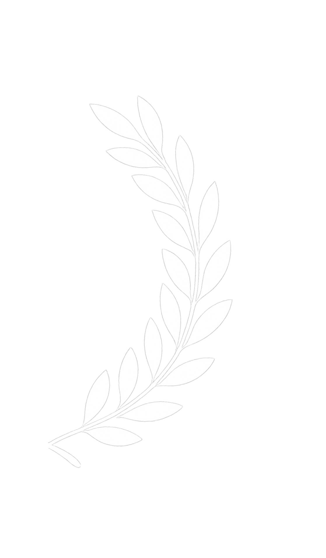 Black and white laurel branch illustration with detailed leaves on a transparent background.
